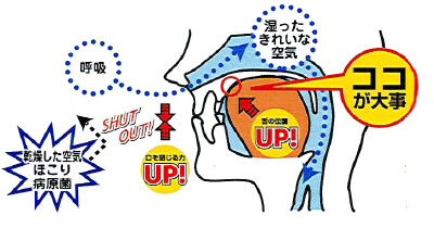 口唇筋力トレーナーでの訓練により口を閉じる力・舌の位置がUPし、鼻呼吸ができるようになります。口呼吸の時に入ってきていた乾燥した空気・ほこり・病原菌は入ってこなくなり、湿ったきれいな空気が、鼻呼吸によって取り入れられます。