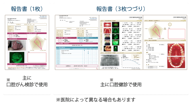 報告書