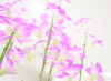 働きやすい環境はあなたの成長を促進させます。そのため、一宮のオーキッド歯科では、あなたが働きやすく、より成長できる環境を整えております。