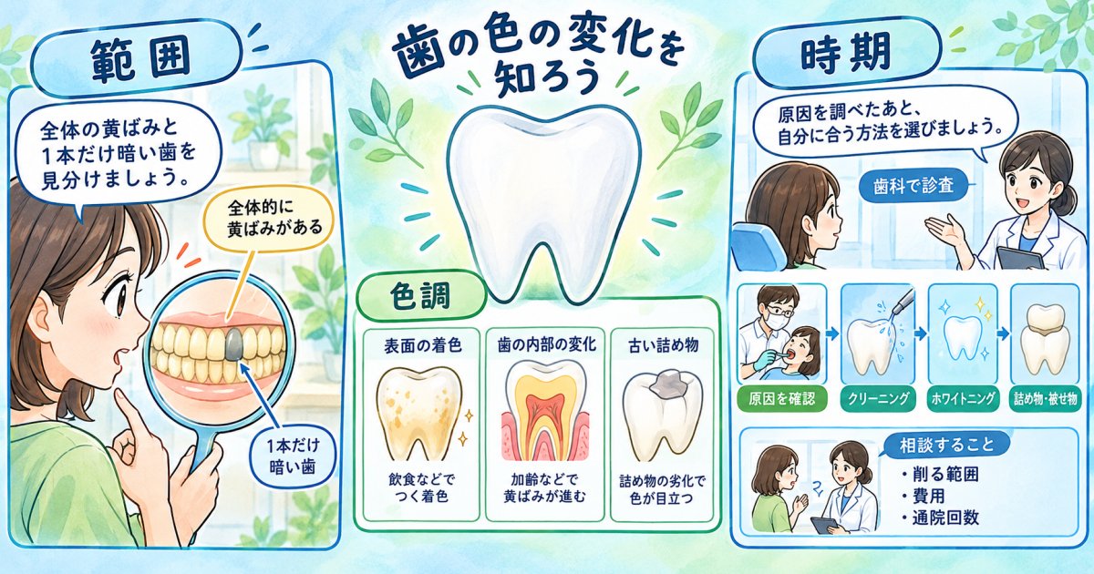歯の変色をセルフチェックで確かめ原因に合った歯科施術の選び方を知る